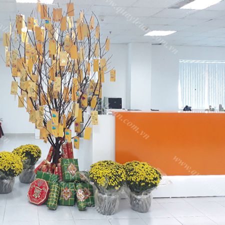 Phòng LỄ TÂN REC 11